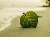 Becoming Part Eco-Friendly Movement