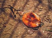 Daily Sixku Photo (May 2019)