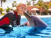 Become Blogger With Dubai City Company!