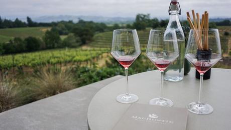 Napa or Sonoma? Find Out Which California Wine Region is Right For You