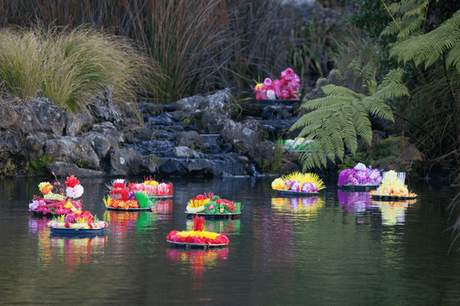 Auckland Botanic Gardens