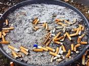 Harmful Effects Cigarette Litter Environment Various Solutions