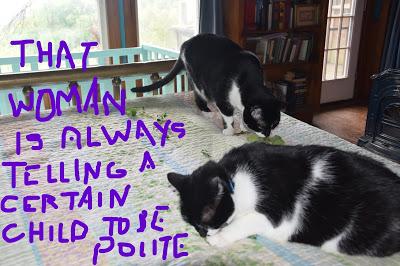 Yes, We're Still Here,--Thankyouverymuchforasking