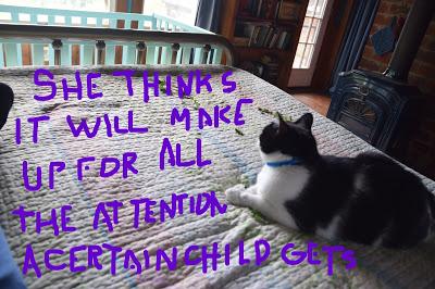 Yes, We're Still Here,--Thankyouverymuchforasking