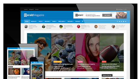 Herald Adsense WP-theme