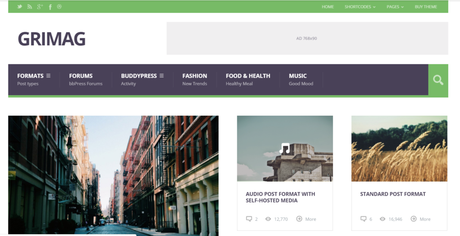 Grimag Adsense WordPress Theme