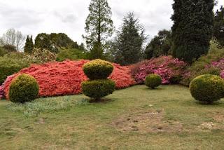 An afternoon at Leonardslee Lakes and Gardens