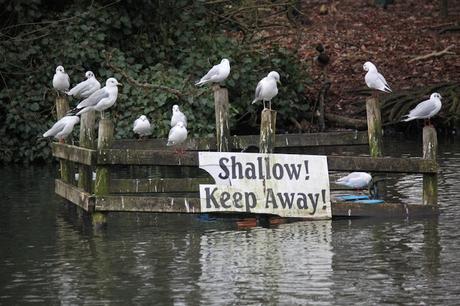 The Monday Photoblog… Forbidden London