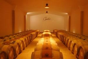 Cigalus is Gerard Betrand Wines flagship biodynamic estate in the Languedoc.