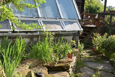 Morning Light in the Entryway