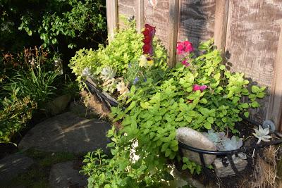 Morning Light in the Entryway