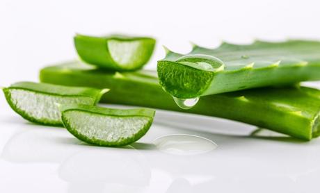 Amazing Health Benefits of Using Aloe Vera Amazing Health Benefits of Using Aloe Vera