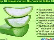 Amazing Health Benefits Using Aloe Vera