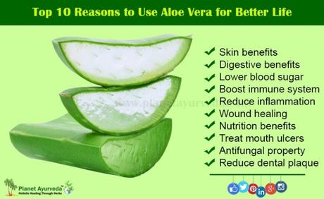 Amazing Health Benefits of Using Aloe Vera Amazing Health Benefits of Using Aloe Vera