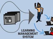 Your School Website Needs Learning Management System?