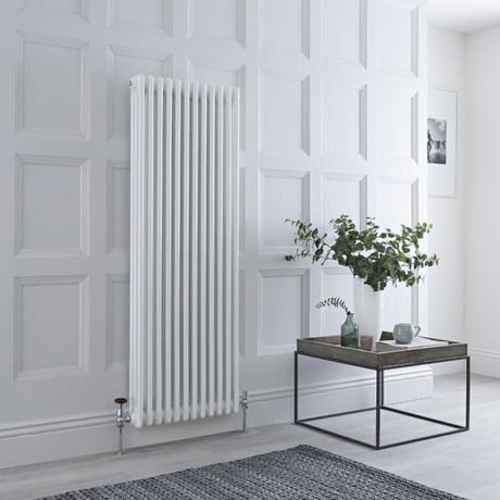 Milano Windsor 12 column radiator.