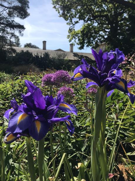 Exbury Gardens in its Glory