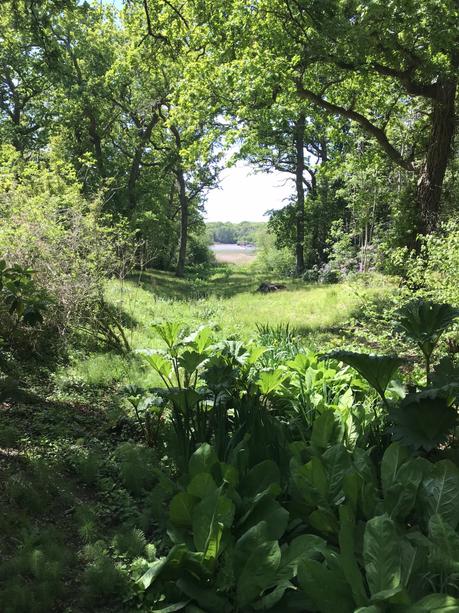 Exbury Gardens in its Glory