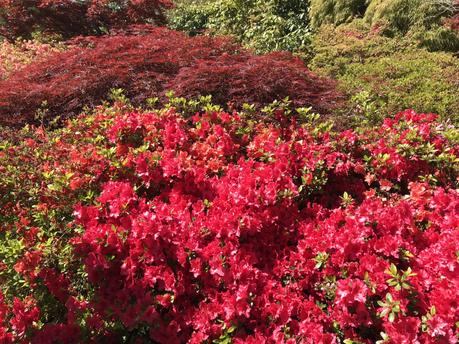 Exbury Gardens in its Glory