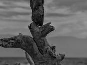 Daily Sixku Photo (May 2019)