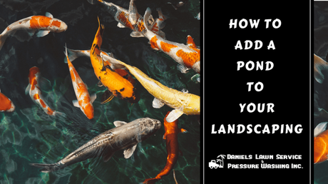 How to Add A Pond To Your Landscaping