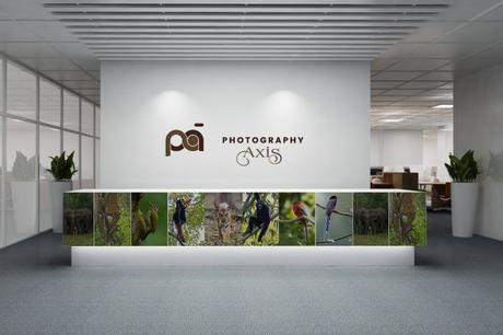 Wall Decal or Wall Sticker For Photography Brand