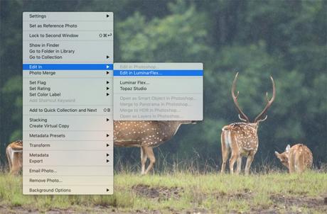 Lightroom to Luminar Flex Plugin Switch