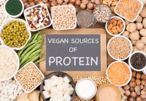 Peanut, Nut Allergy, And Vegan Protein