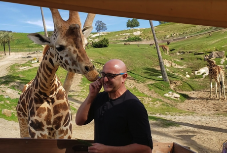 How to Get Licked by a Giraffe