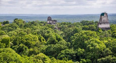 A panoramic view of Tikal National Park and the surrounding Maya Biosphere Reserve.