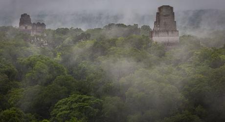 The magnificent ruins of Tikal peeking through the mist