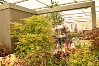 RHS Chelsea 2019 - some highlights