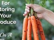 Tips Storing Your Produce Plant-Based Diet