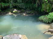 Sunday Afternoon Musicale Bridges Mendelssohn