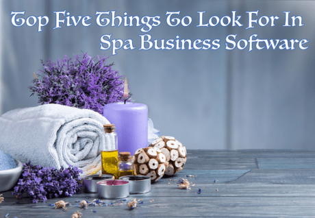 Top Five Things To Look For In Spa Business Software