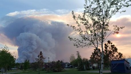 Tim Hortons among High Level, Alta. businesses still open despite wildfire evacuation