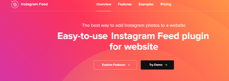 Most Popular WordPress Instagram Plugins That Drive Huge Traffic To Your Website Instagram feed instagram gallery