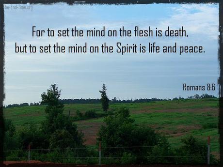Thought for the Day Thought for the Day