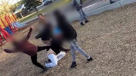 13-year-old charged in Saskatoon playground assault, but other kids too young for charges