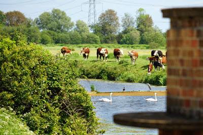 Gold Corner: wartime engineering in Somerset