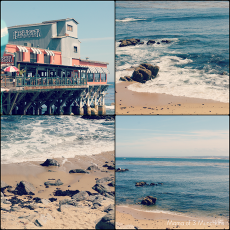 THE MONTEREY BAY AQUARIUM