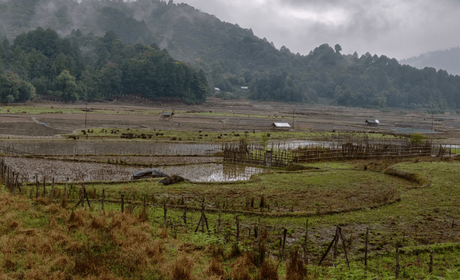 Ziro, Arunachal Pradesh: a paradise amidst the dawn lit mountains