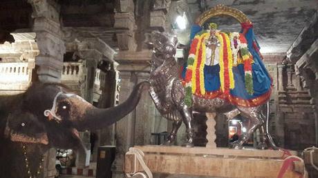 Thiruvanaikaval Akila gets showers