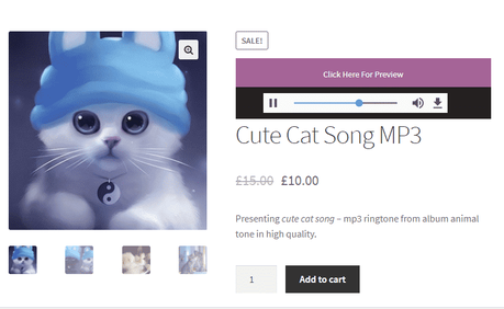 WooCommerce Product Types For Your Online Store WooCommerce Product Types