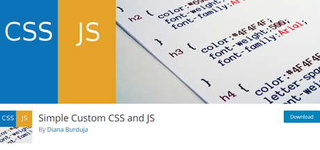 Simple Custom CSS and JS plugin