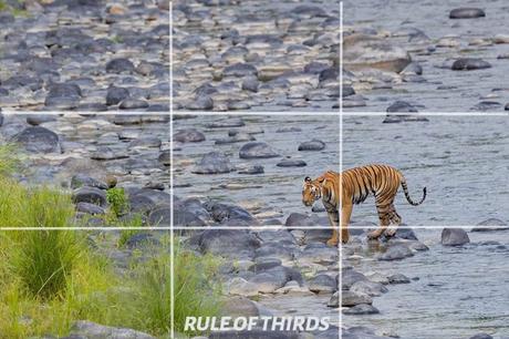 Rule of Thirds in Photography