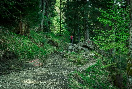 Hiking up the Kampenwand in Germany – insider tip