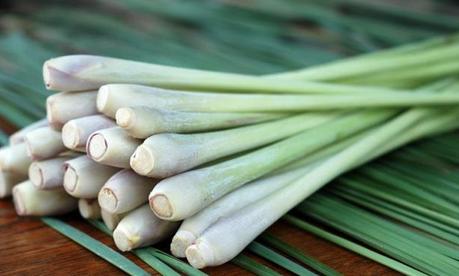 Strengthen Your Hair The Natural And Ayurvedic Way Strengthen Your Hair The Natural And Ayurvedic Way