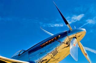 2011 _HHD3018_D300.jpg