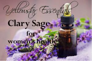 Holy frijoles I’m dyin ova heeah: Hot Flashes Essential Oil Blend for Menopause and Perimenopause